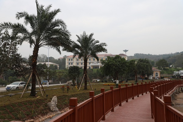 1585794562729293.jpg ba6cbc32bb89f2583807d88bb8830f6.jpg