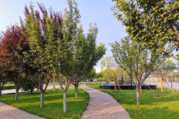 1590482461133707.png 圖片1.png