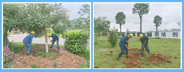 1594169519845477.jpg 2.jpg