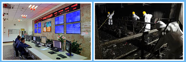 1597386600922508.jpg 1.jpg