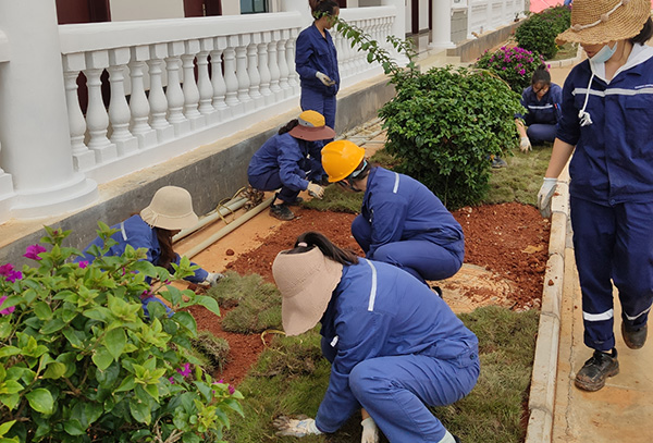 1602215611961568.jpg de28ed28c0d069afcd280b9b97e255e.jpg