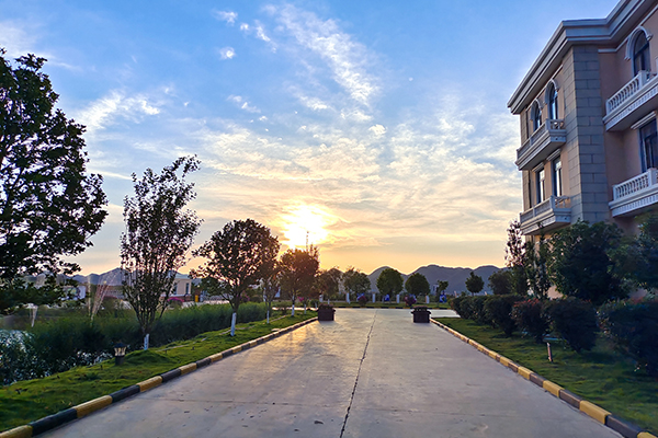 1622446873653645.jpg 9369096c36eae726fe2bdfdf6432cd9.jpg