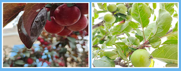 1622448160620544.jpg 1.jpg