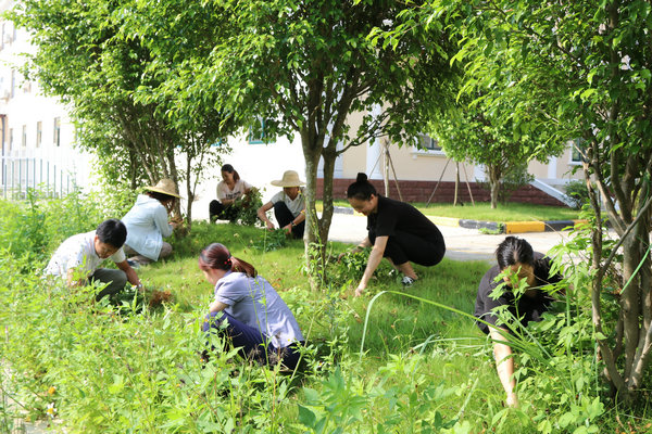 1627702162699508.jpg 美化家園.JPG