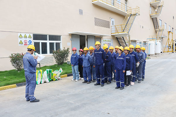 1628663753389497.jpg 1.jpg