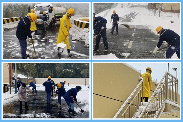 1641469823107905.jpg P圖-四框.jpg