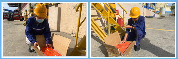 1648619999589080.jpg 1.jpg