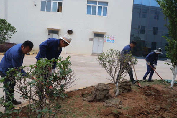 1648774178785193.png 圖片1.png