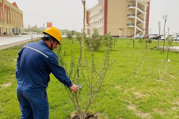 1653618327468146.png 酒泉2.png