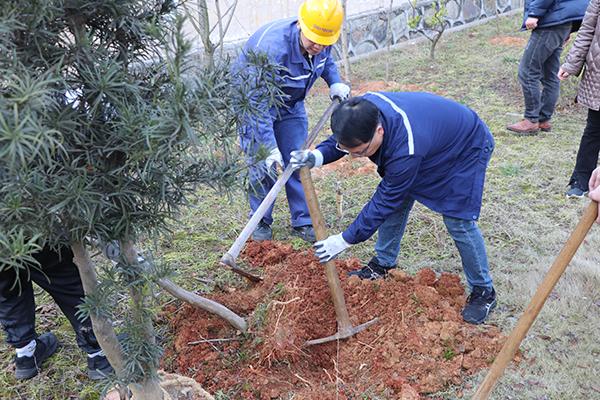 1713357540988866.png 11.png