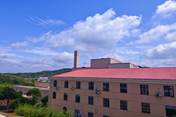 1717473377934678.jpg 漫畫里的金寨海創(1).jpg