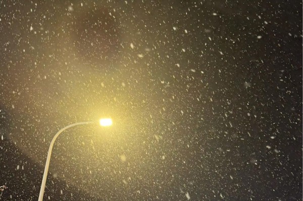 1763430491817916.jpg 路燈下的雪花.jpg